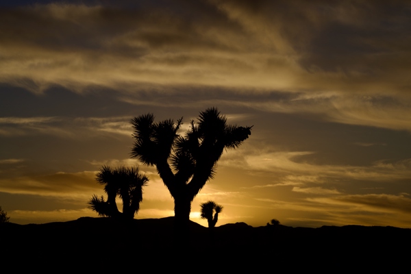 Death Valley